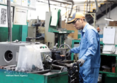 Viet Nam leads ASEAN in attracting European businesses
